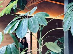 -VOYAGE COFFEE(北锣鼓巷店)