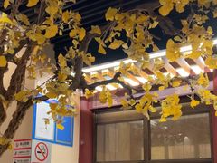 -京味斋·烤鸭·北京菜(安贞店)