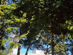 -南京双门楼宾馆(盐仓桥地铁站阅江楼店)