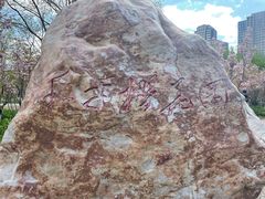 -长白岛森林公园