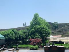 -龙坞茶村
