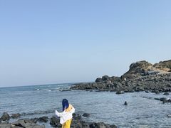 -涉地可支