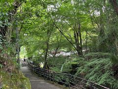 -三千院