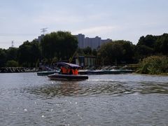 -昆山城市生态森林公园