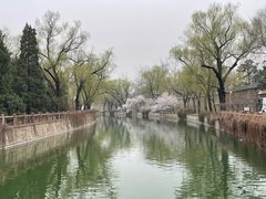 -元大都城垣遗址公园