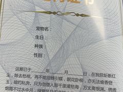 -伟伟宠物医院·CT影像中心·瑞派犬猫综合性门诊(汉口总院)