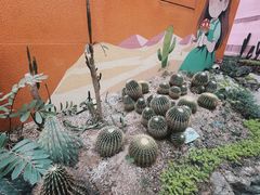 -正佳雨林生态植物园