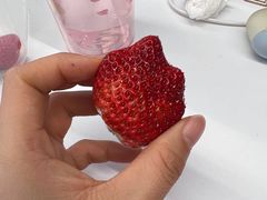 -陇上秦轩西安biangbiang面(EFC欧美金融商业城店)