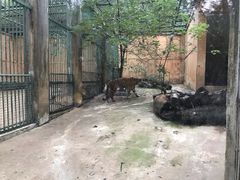 -柳州市动物园