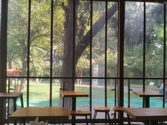 -鸡鸣汤包(红山动物园店)