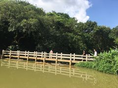 -云溪植物园