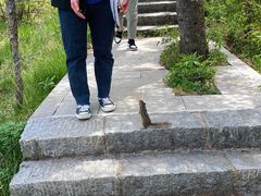 -牛背梁国家森林公园