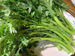 茼蒿-小龙坎火锅(春熙太古里店)