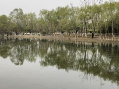 -西安浐灞国家湿地公园