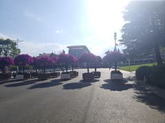 -西南林业大学(白龙校区)