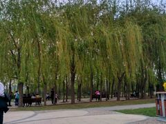 -长春公园(普阳街道)