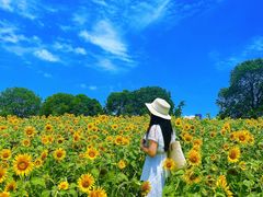 -苏州湾体育公园