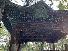 -汇龙潭