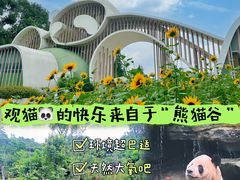 -熊猫谷