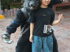 -郑州方特梦幻王国