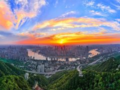 -南山植物园