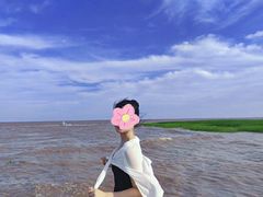 -南汇嘴观海公园