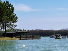 -上海海湾国家森林公园