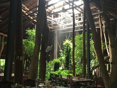 -绿光森林餐厅