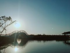 -漩门湾国家湿地公园