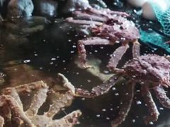 -綱元·海鲜豆捞(明州里店)