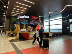 -谢列梅捷沃国际机场