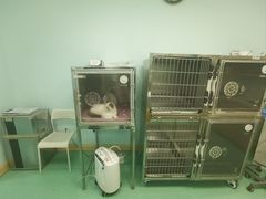 -北京观赏动物医院·24小时大型综合·猫专科·异宠专科