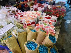 -三圣花乡旅游区