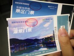 -深圳东部华侨城茵特拉根酒店