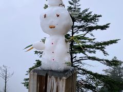-西岭雪山大飞水景区