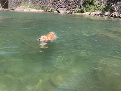 -安吉龙王山峡谷漂流