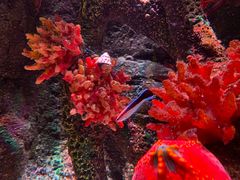 -沈阳海洋探索中心