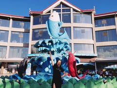 -青鱼湾水上乐园