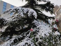 -北京邮电会议中心