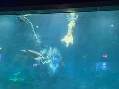 -福州罗源湾海洋世界旅游区