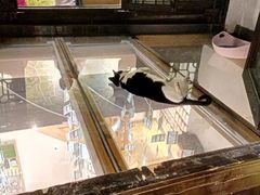 -猫的天空之城概念书店(杭州南宋御街店)