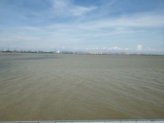 -大湾区中央湿地公园