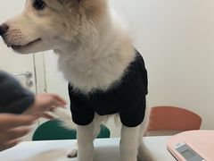 -美联众合24小时·皮肤科·外科·全科诊疗中心(华苑分院)