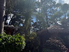 -茗情傣味