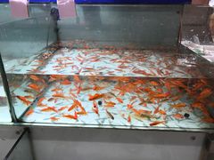 -大润发(衢州店)