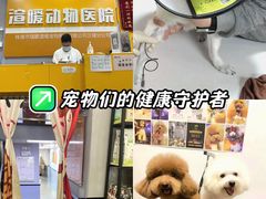 -渲嗳动物医院(异宠·复杂内科转诊中心·玖洲道富华里分院)