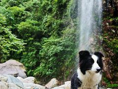 -西岭雪山大飞水景区