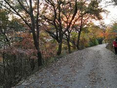 -紫金山索道-售票处