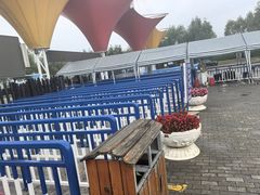 -呼兰河口湿地公园