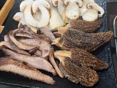 -蘑统田下·野生菌火锅